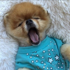 Женечек Видеман, 10.3.1986, Москва