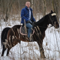 Никита Грацкий, Санкт-Петербург