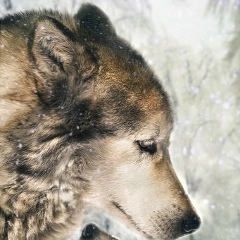 Денис Талайко, 4.5.2002